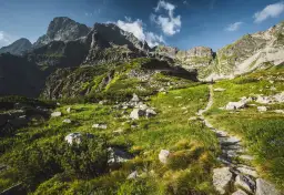 Kamienista ścieżka prowadzi przez zielone zbocza ku górskim szczytom. W oddali widać samotnego turystę, który zmierza w stronę Wrót Chałubińskiego.
