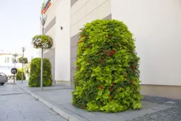 Jak zrobić kwietnik kaskadowy - krok po kroku z materiałami i wskazówkami