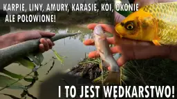 Jak zrobić wędkę z patyka? Prosty poradnik DIY na ryby