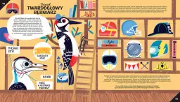 Fizyka: Ewolucja myśli, nie dzieło wynalazcy. Poznaj historię.