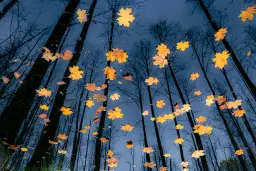 Co to jest fotograf? Poznaj tajniki zawodu i umiejętności fotografa