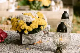 Dlaczego chryzantemy na cmentarz? Odkryj ich symbolikę i znaczenie