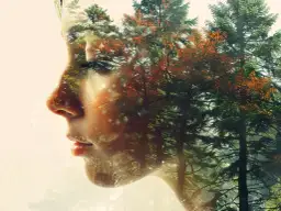 Profil twarzy osoby wysoko wrażliwej, wtopiony w jesienny las.