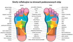 Mapa refleksologiczna stóp pokazuje, które **bolące punkty na stopach** odpowiadają różnym organom i częściom ciała, od głowy po kolano.
