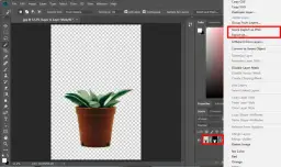 Jak wyciąć obraz w Photoshopie - proste metody na perfekcyjne wycięcia