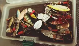 Najlepsze przynęty na okonia: przewodnik po wyborze i łowieniu