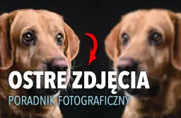 Ostre zdjęcia: Jak uzyskać idealną ostrość krok po kroku?