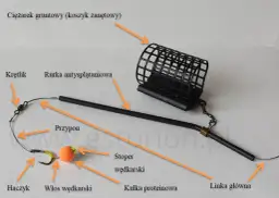Pierwszy zestaw wędkarski: jak skompletować i zacząć łowić?