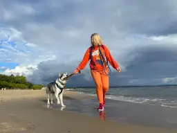 Gdzie z psem na spacer w Gdańsku? Odkryj najlepsze miejsca dla psów