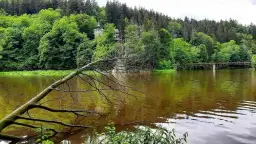 Odkryj najpiękniejsze jeziora Dolnośląskie i ich atrakcje natury