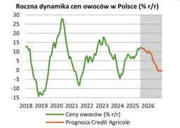 Prognozy cen truskawek 2026: Czy rekord 10 zł/kg się powtórzy?