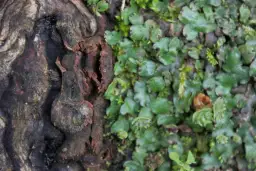 Faktura w malarstwie: jak tekstura wpływa na emocje i odbiór dzieła