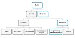 Spółka z ograniczoną odpowiedzialnością co to? Kluczowe informacje i wady