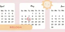 Co zawsze jest na maturze z biologii? Kluczowe tematy i pytania