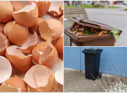 Skorupki po jajkach, resztki warzyw w brązowym koszu i czarny pojemnik na śmieci. Dowiedz się, gdzie wyrzucać skorupki po jajkach.