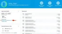 PayPal doładowanie: 5 najszybszych metod płatności. Instrukcja