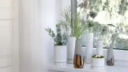 Najlepsze pomysły na to, jak ozdobić parapet na zewnątrz i zachwycić gości