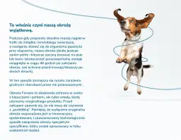 Obroża Foresto - czy jest szkodliwa dla psa i ludzi? Sprawdź ryzyko