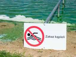 Sinice w morzu jak wyglądają – niebezpieczne objawy i cechy