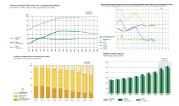 Dlaczego ludność Włoch się starzeje? Oto kryzys demograficzny
