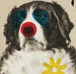 Kabaret Moralnego Niepokoju: Co skrywa spacer z psami?