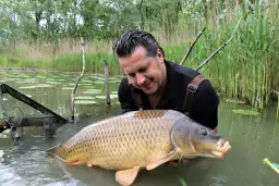 Wędkarz trzyma w wodzie dużego karpia, obok podbierak.