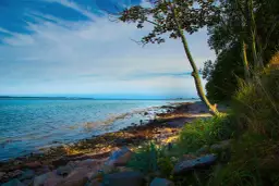 Krynica Morska: Co robić? Odkryj TOP atrakcje i zaplanuj urlop!