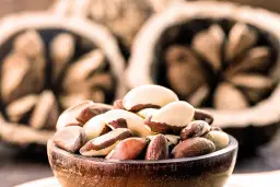 Orzechy dla psa: Trujące czy bezpieczne? Sprawdź, zanim podasz!