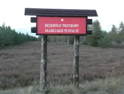 Rezerwat przyrody Diabelskie Pustacie - piękno wrzosowisk i szlaków