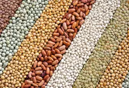 Gdzie jest białko roślinne? Odkryj najlepsze źródła w diecie