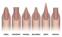 Ilustracja przedstawia sześć kształtów paznokci: owal, kwadrat, migdał, balerina, szpic i sqoval.