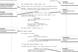 Co to jest scenariusz? Kluczowe elementy i rodzaje tekstów