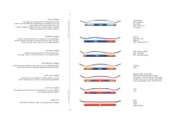 Rodzaje desek snowboardowych: od Quad Camber po Super Flat, z ilustracjami profili i nazwami modeli.