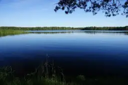 Jezioro Czerskie - ukryte skarby przyrody i atrakcje rekreacyjne