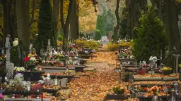 Jak znaleźć grób na cmentarzu? Sprawdzone sposoby na łatwe poszukiwania