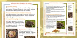 Zwierzęta które zasypiają na zimę – ciekawostki i zabawy dla przedszkolaków