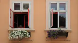 Dwa okna z dwukolorowymi ramami (białe i czerwone) i kwitnącymi skrzynkami. Czy okna dwukolorowe są droższe?