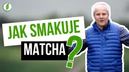 Jak smakuje matcha? Odkryj jej wyjątkowy smak i aromat