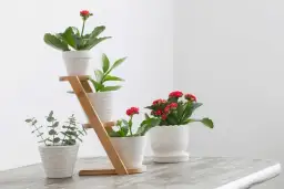 Kwietnik kaskadowy DIY: Praktyczny poradnik krok po kroku