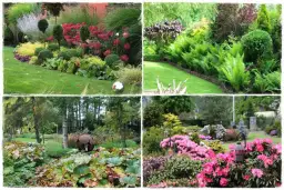 Rośliny do cienia: Ożyw ciemne kąty swojego domu!