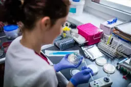 Co robi laboratorium mikrobiologiczne? Niewidzialni strażnicy zdrowia