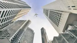 TFI: Co to jest? Poznaj rolę, bezpieczeństwo i wybierz mądrze!