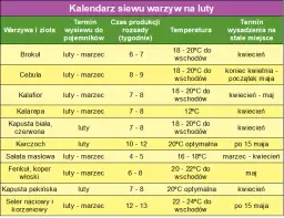 Kiedy siać warzywa do gruntu? Kalendarz siewu dla ogrodników