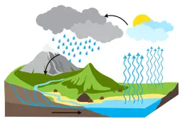 Jak żyła wodna wpływa na środowisko i geologię w Twojej okolicy