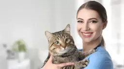 Czym zajmuje się weterynarz? Poznaj jego kluczowe obowiązki i rolę