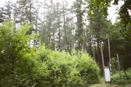 Rezerwat przyrody Husówka - odkryj niezwykłe rzadkie gatunki flory