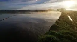 Rogów Legnicki łowisko - idealne miejsce na wędkarskie przygody