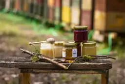 Jaki miód wybrać? Odkryj zdrowotne właściwości i rodzaje miodu