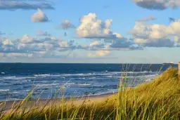 Kiedy jest odpływ na Bałtyku? Sprawdź, by nie przegapić okazji