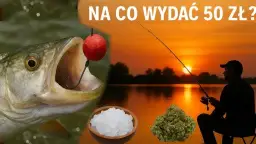 Łowisko RaFish – idealne miejsce na wędkowanie z atrakcjami i zasadami